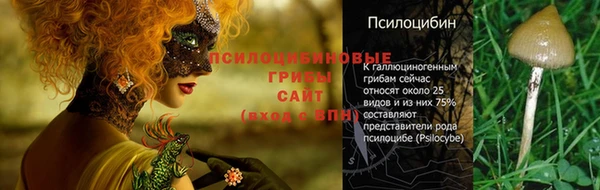 твердый Баксан